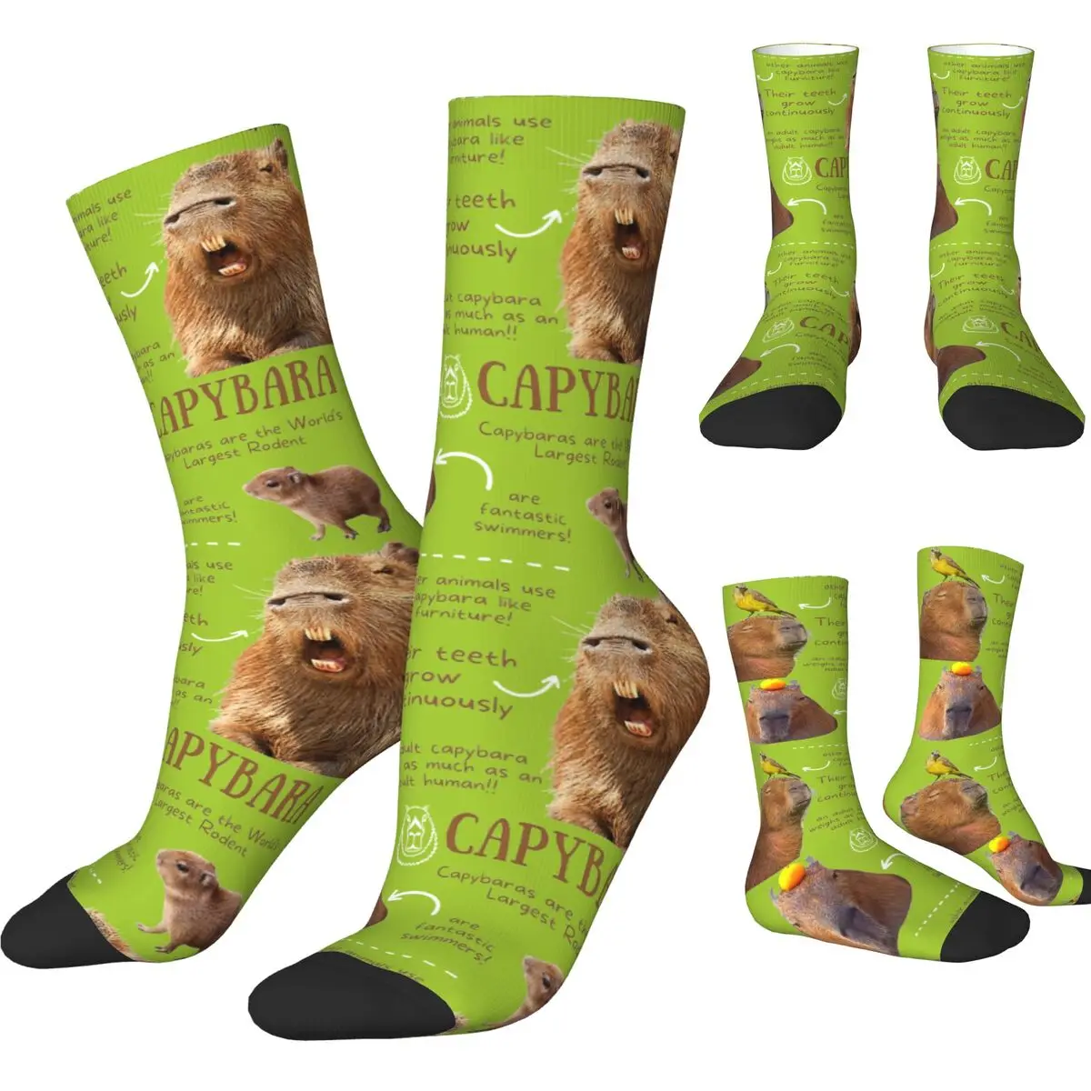 Capybara Fun Facts Stockings Design Leisure Socks Winter Anti Bacterial Socks Adults Men Skateboard Quality Socks