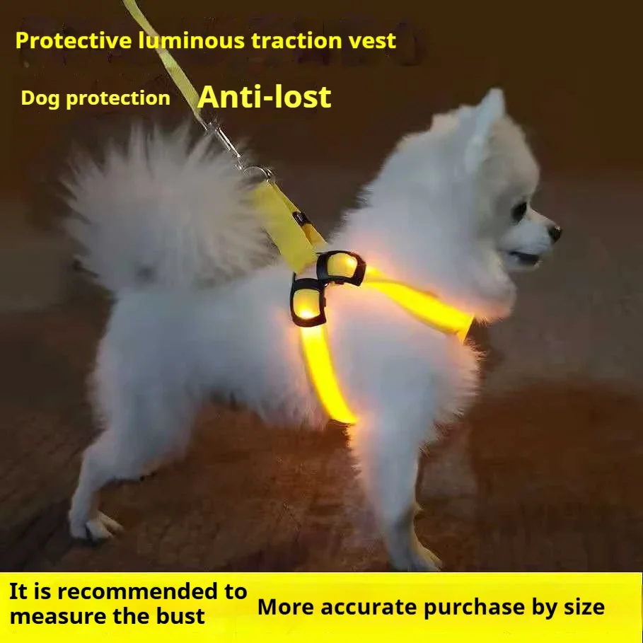 Pet Supplies Dog Breastplate Medium and Large Dogs Night Out LED Lighted Pet Outing Supplies