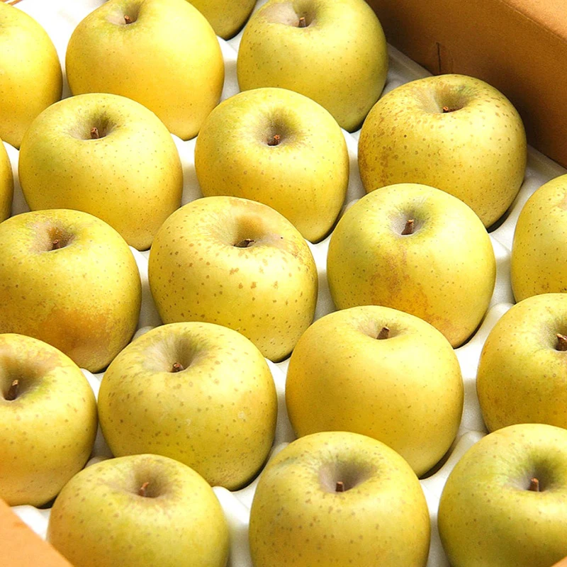 Sweet and Sour Golden Apple Shinano Gold Practical Value 2kg (Approximately 15 Apples)