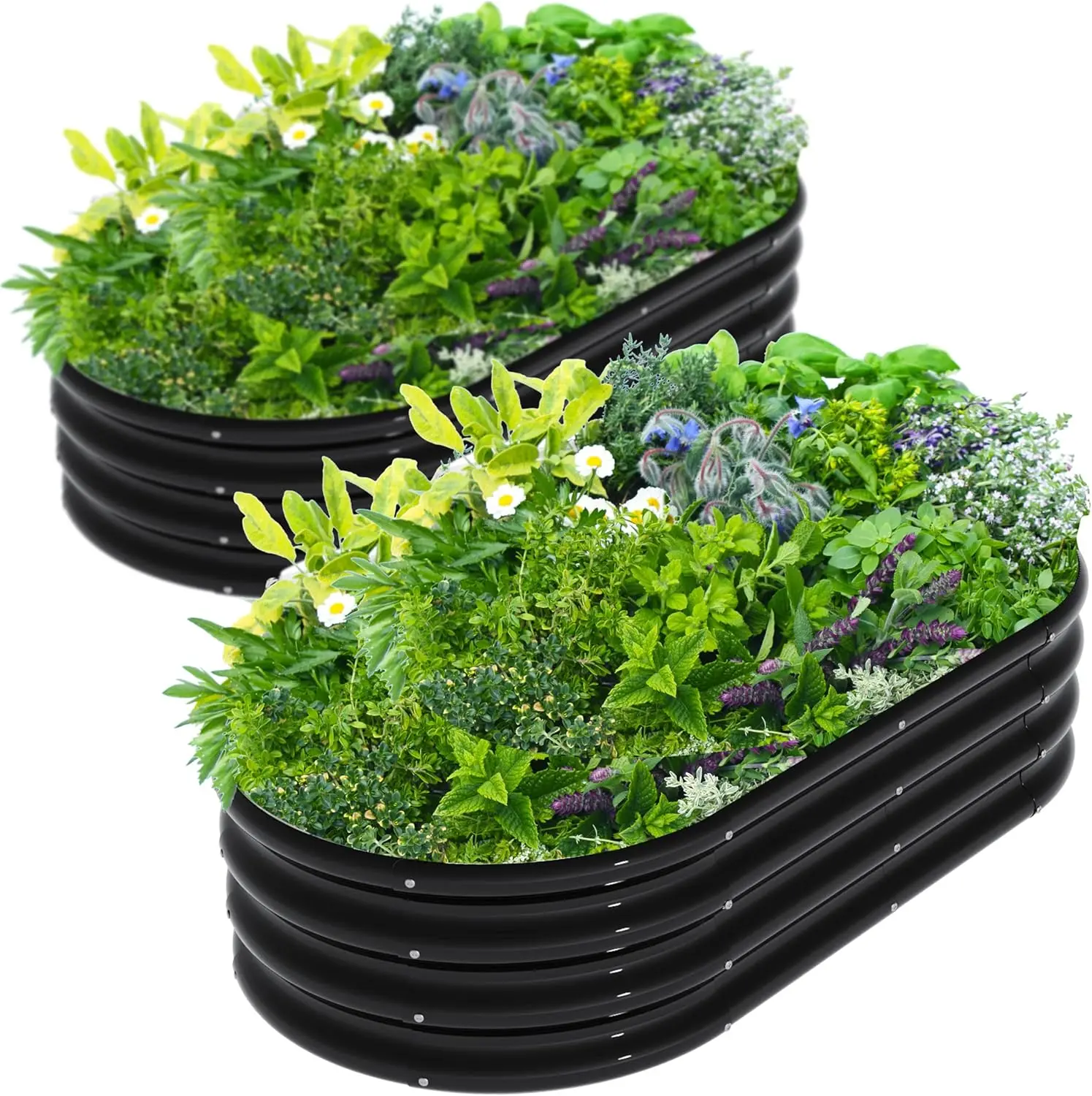 

2Pcs 4X2X1ft Oval Raised Garden Bed Kit,Galvanized Raised Garden Beds Outdoor, Metal Planter Box Steel Kit Flower Herb,V