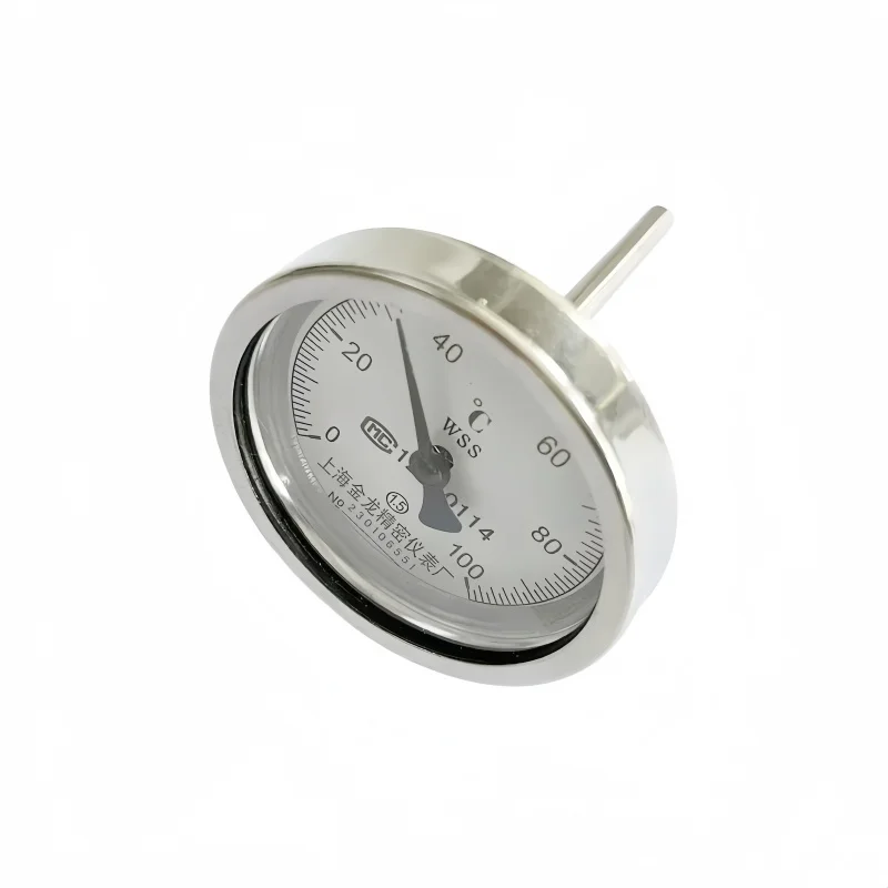 304 Stainless Steel Thermometer With 1/2\