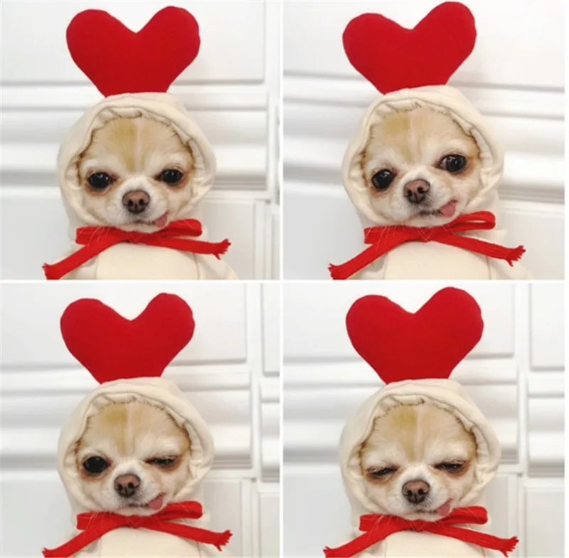 Winter Cartoon Pet Clothes Cute Heart Dog Cat Hoodie Sweatshirt for Small Dogs French Bulldog Pug Coat Jacket Dogs Pets Clothing