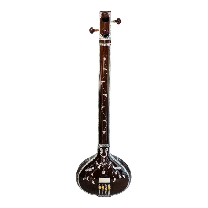 Sitar national instrument Indian sitar concert playing string small instrument