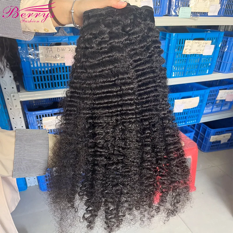 Berrys Fashion 100% Unprocessed Burmese Curly Bundles Malaysian Remy Human Hair Extensions Curly Wave Virgin Hair Bundles