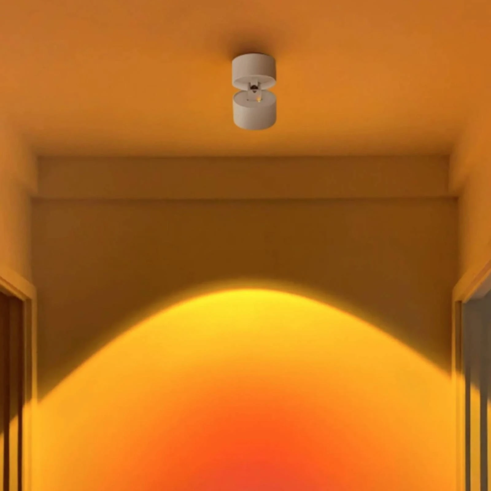 Surface Mount Light Fixture Cylindrical Head Adjustable Ceiling Light Fixture Surface Mounted Light Rotatable Indoor Lighting