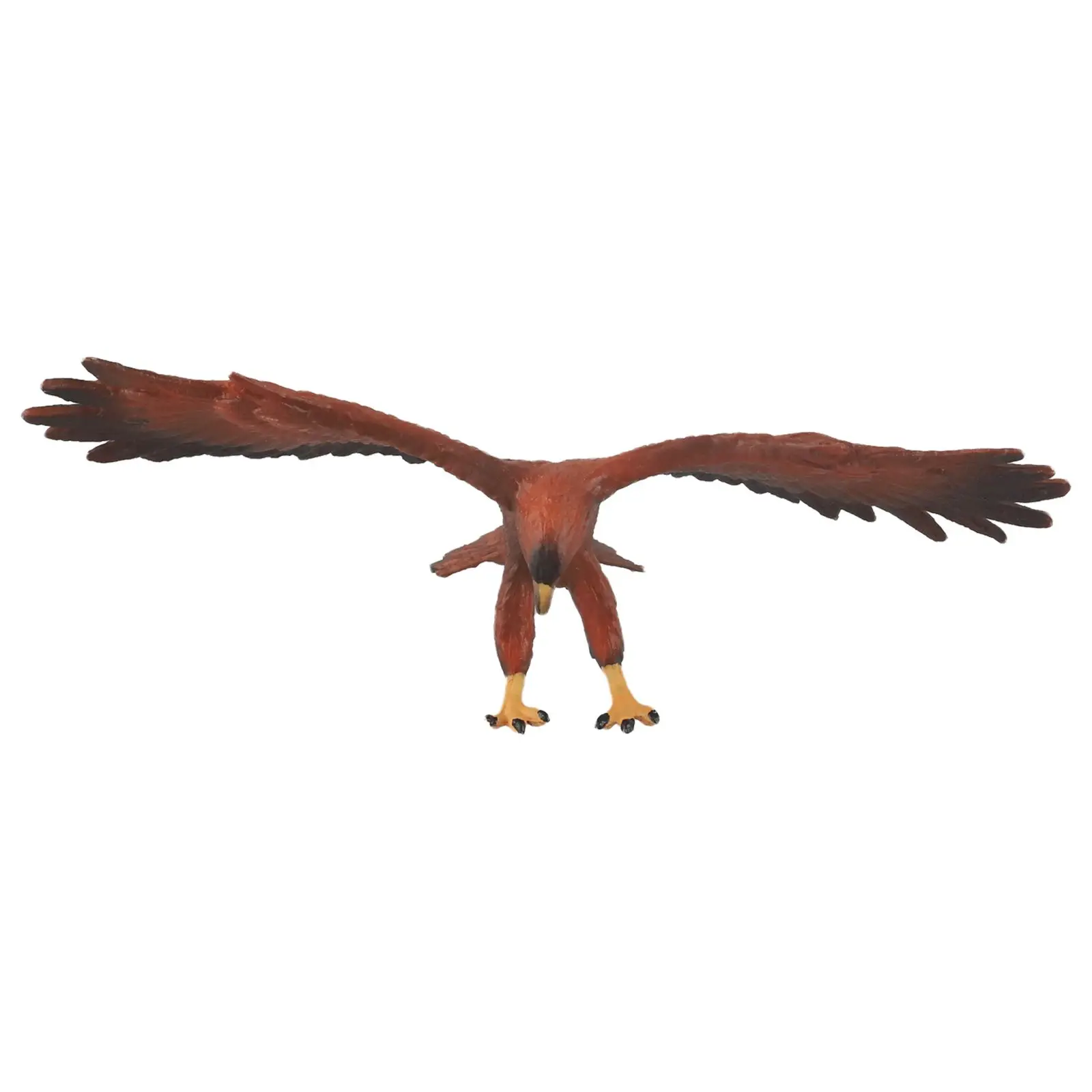 Home Decor Office Decor Artificial for eagle Model for educational for eagle Model Long-lasting Realistic Shape Tear-resistant