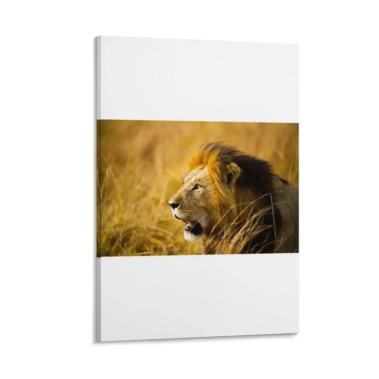 

Male Lion in Profile looking out in tall grass Canvas Painting room decorations for girls art mural decorative wall canvases
