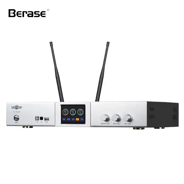 Berase KS-600 Karaoke eindversterker 2 draadloze microfoons Processor Afstandsbediening eindversterker met Bluetooth