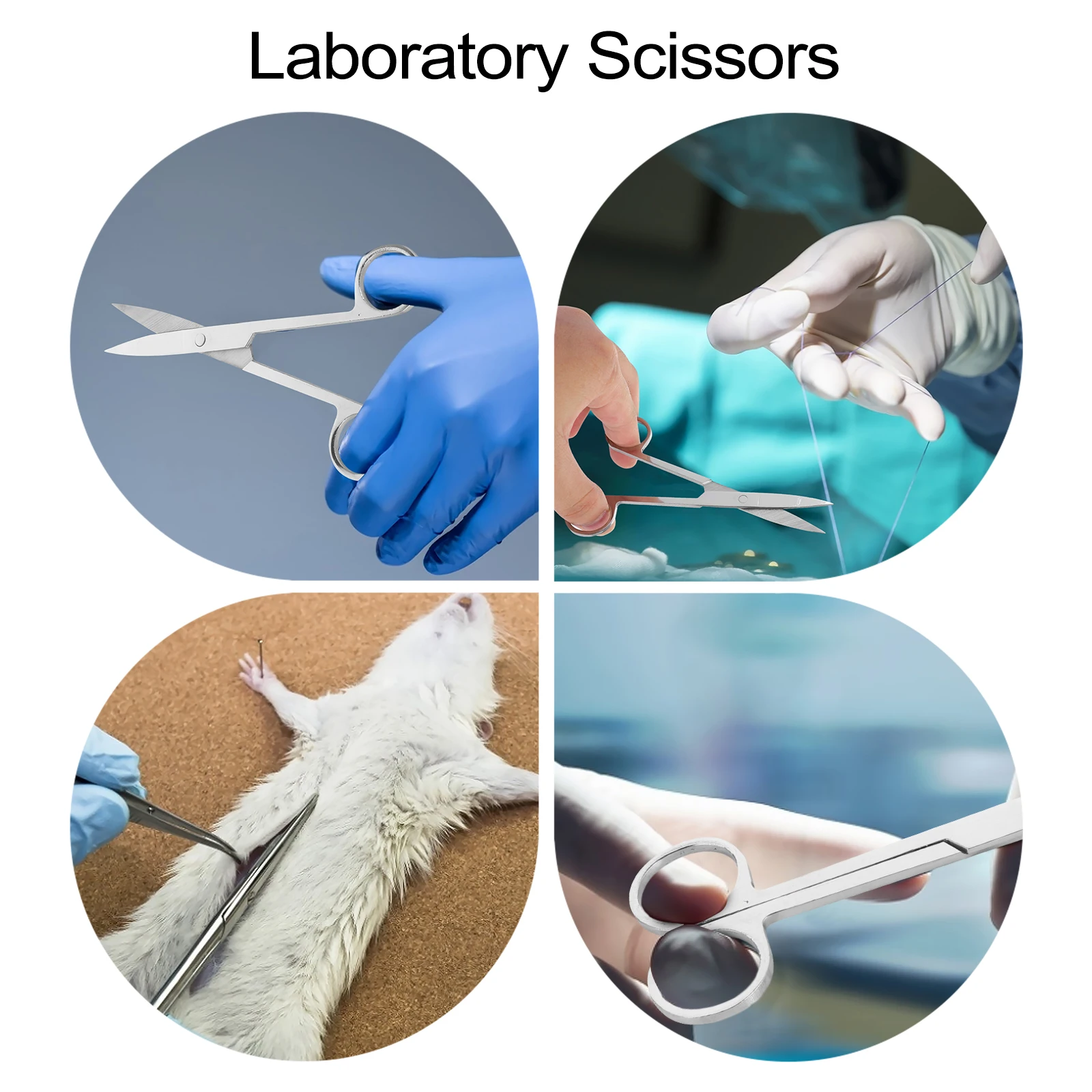 

Dissecting Scissors Animal Experiment Laboratory Emergency Nickel Plating Surgery Surgical Small