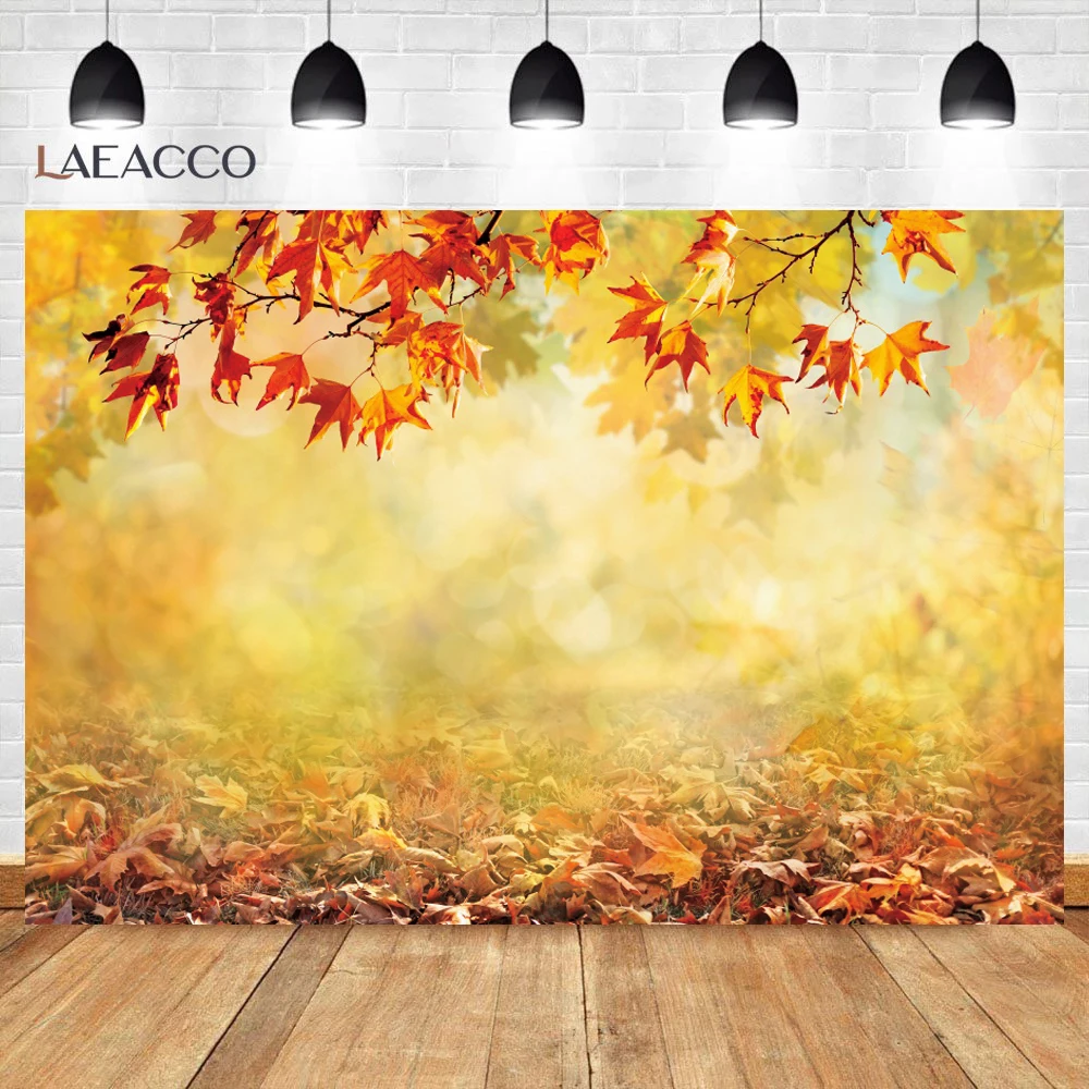 Laeacco Autumn Backgrounds For Photography Fallen Leaves Maples Light Bokeh Sunshine Baby Portrait Birthday Photo Backdrop