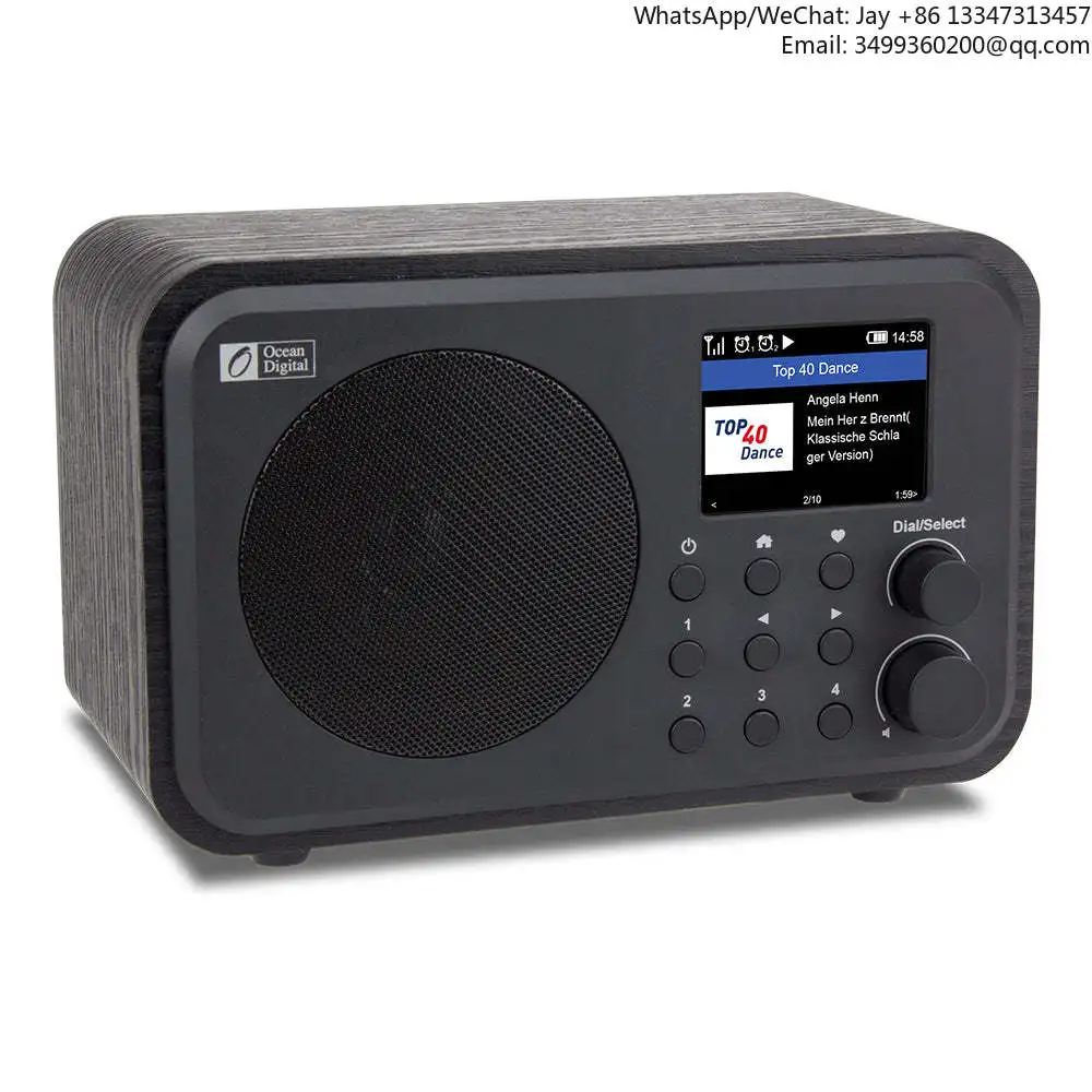 

Ocean Digital WR-336M Portable Internet Radio Podcasts And FM Reception
