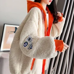 Imitation Lamb Wool Zipper Coat Women Hoodies Fashion Autumn Winter Loose Sweatshirts Streetwear Female Warm Jacket Y2K Clothes