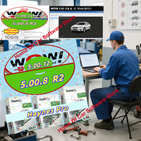 Wurth WOW 5.00.12 And HAYNES Vivid 2015.1 Automotive Diagnostic & Repair Software Multilingual Version 2025