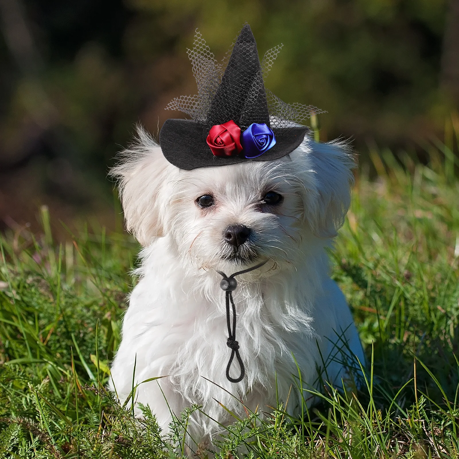 

Cat Halloween Hat Black Rose Lace Design Lightweight Breathable Pet Party Cosplay Photo Prop For Dogs Cats Accessory