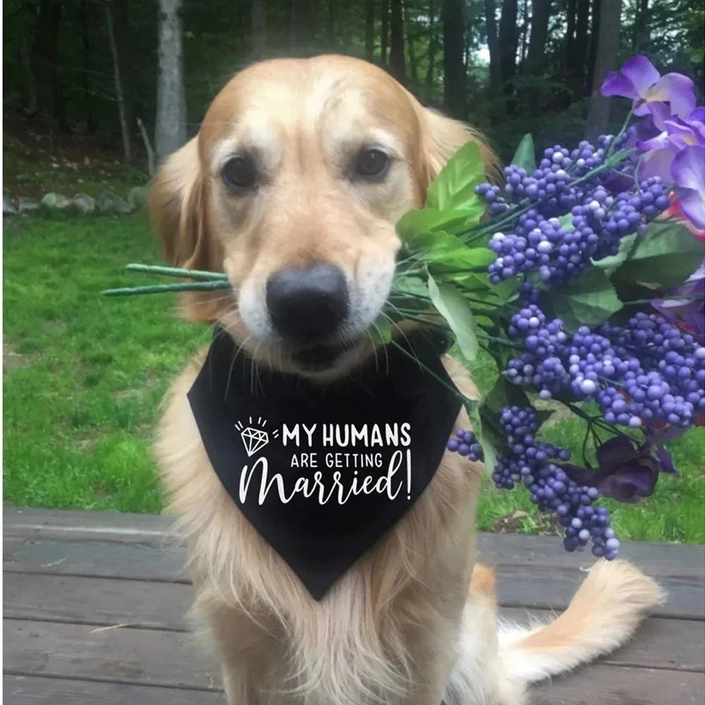 Dog Wedding Bandana Pet Triangle Bib White Scarf Neckerchief Engagement Announcemet She Said Yes My Humans are Getting Married