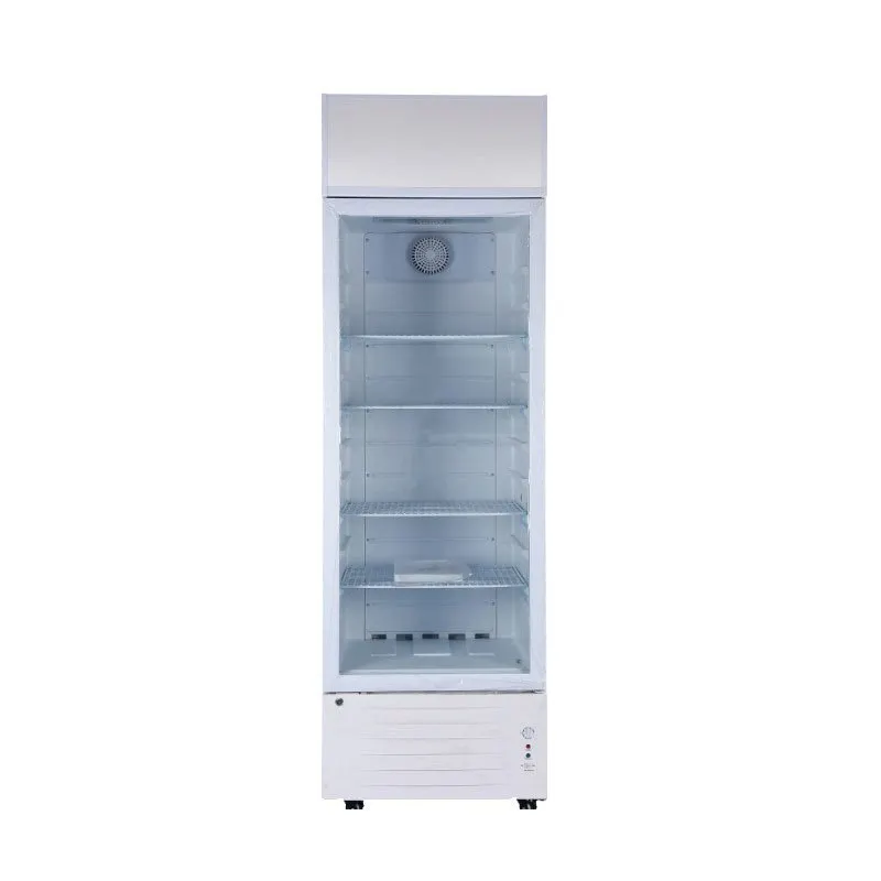 Upright solar DC 12V/24V display cabinet refrigerated cabinet shopping mall supermarket beverage skd/ckd