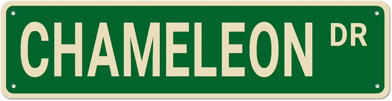 Chameleon Street Signs, Chameleon Decor Chameleon Sign Chameleon Gift, Wall Decor for Home/Driveway/Man Cave/Bar, Quality Metal