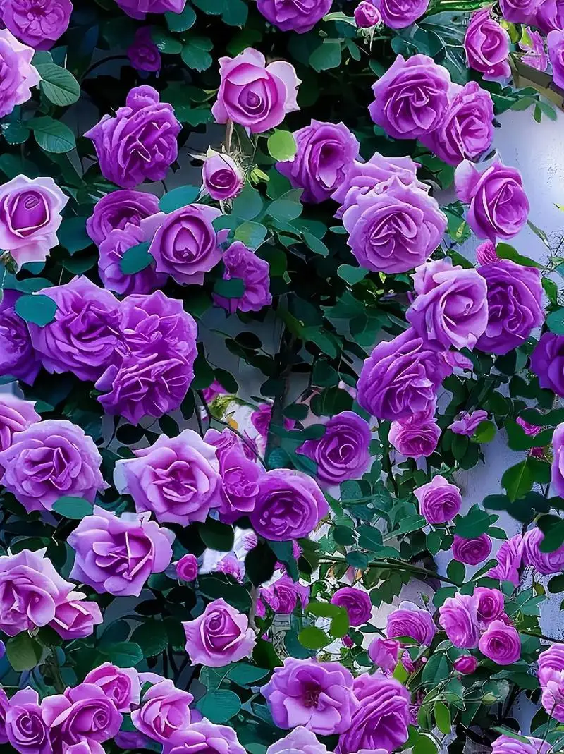 Мини-мощная электрическая присоска, светодиодный интеллектуальный дисплей, вакуумная подъемная чашка для гранитной плитки, стекла, узкие полоски, материалы