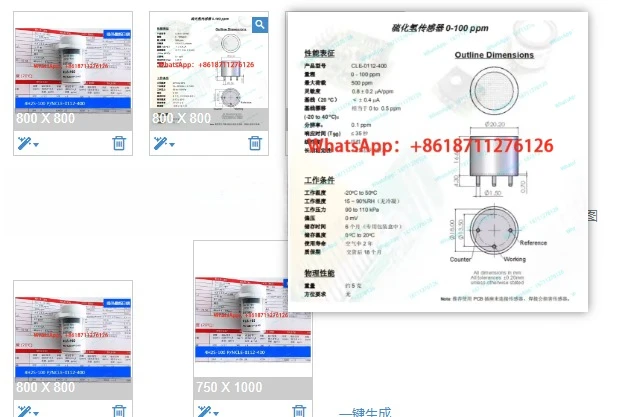 4H2S-100 sensor for electrochemical gas detection imported