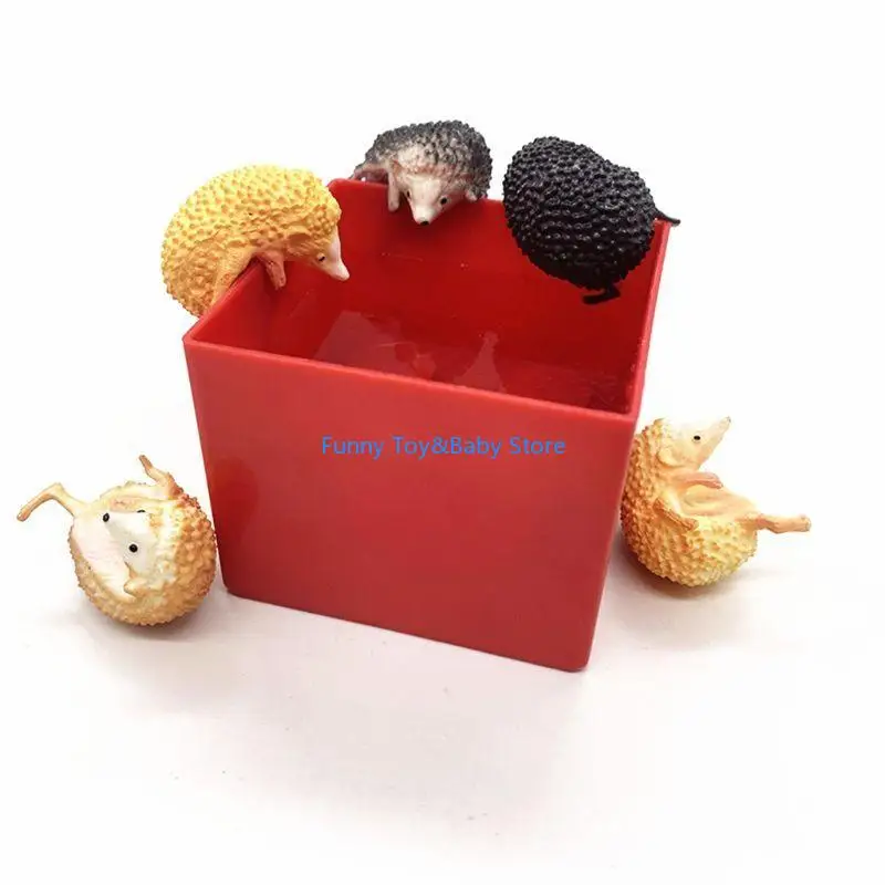 Mini Cup Cup สำหรับตุ๊กตา Hedgehog Resin Muturine Glass Desec
