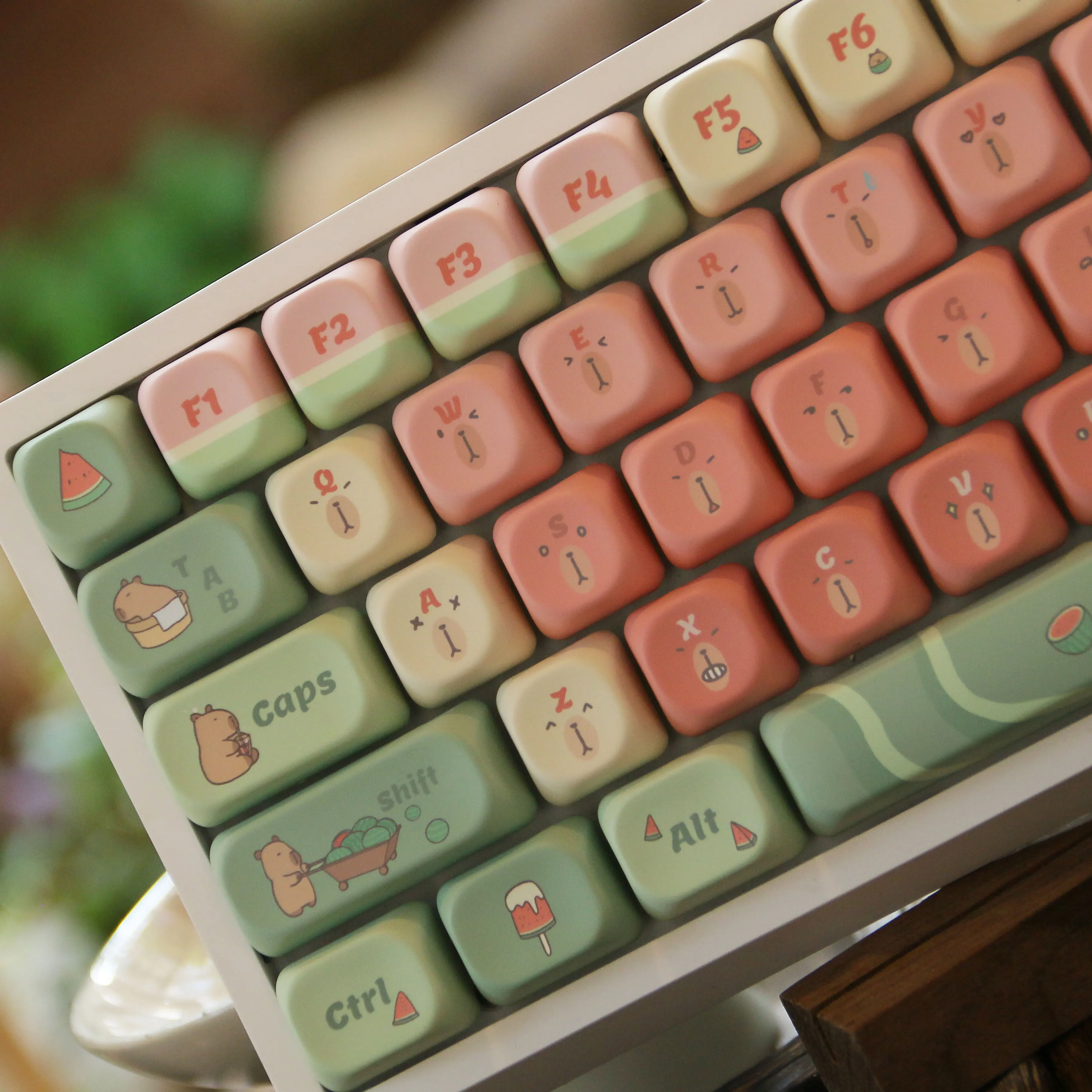 Capybara Wassermelone Moa Profil Tasten kappen Tasten 5 Seiten Farbstoff Sub Pbt Tasten kappen für Gateron Cherry MX Schalter mechanische Tastaturen