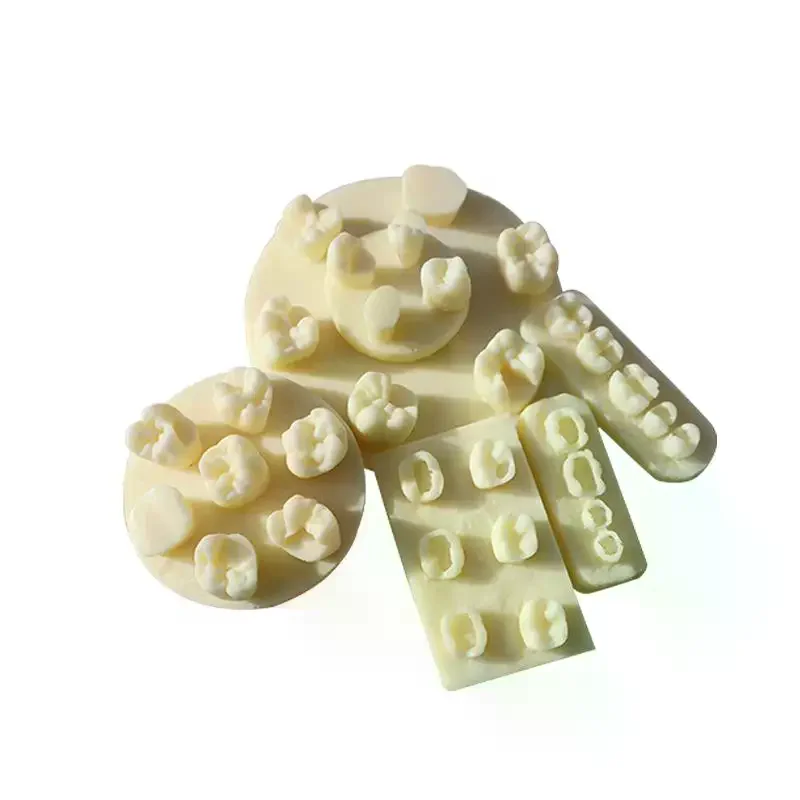 Model Tool Tooth Morphology Practice Root Canal Filling Inlay Resin Module for Dental Teaching Training Resin