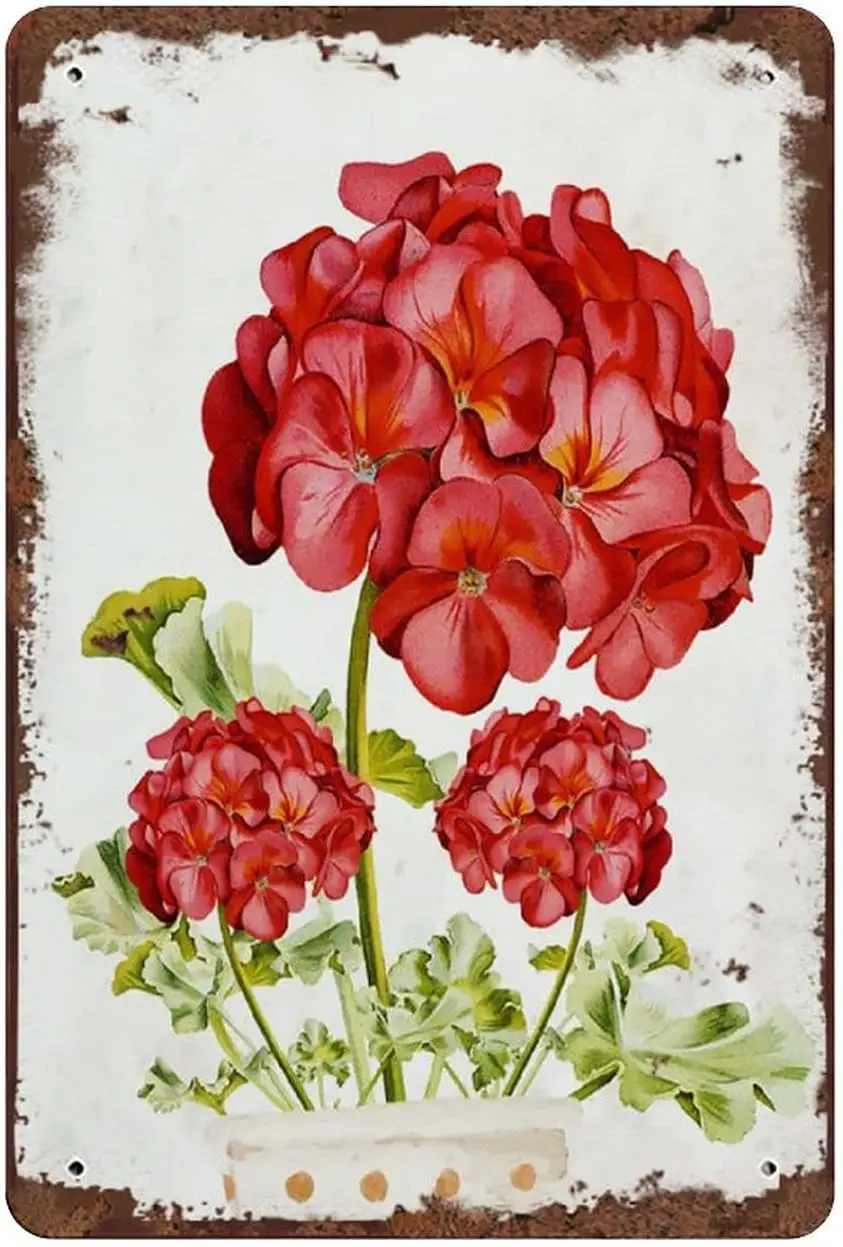 Geranium Vintage Tin Sign Bouquet Home Decor Flower Wall Art Office Retro Floral Spring for Kit