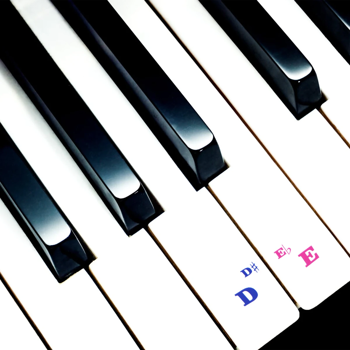 

Labels Electronic Piano Stickers Note for 88 Key Hand Roll Accessories Keyboard