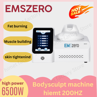 EMSzero 6500W 200HZ Schlankheitsmaschine Muskelaufbau EMSZero CE-Zertifizierung Optionales Beckenkissen