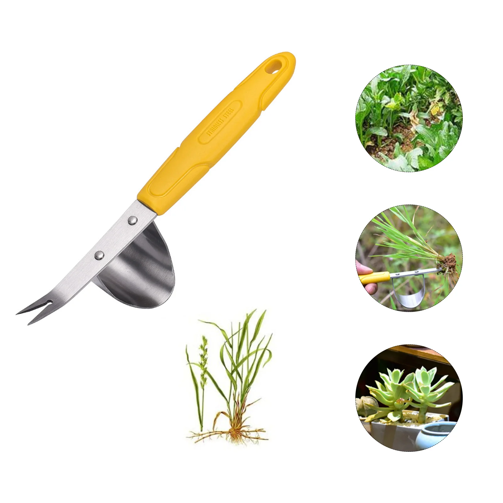 Deshierbe manual de acero inoxidable para jardín, herramienta extractora de malezas de acero inoxidable para excavación de césped, granja, trasplantar, deshierbe resistente