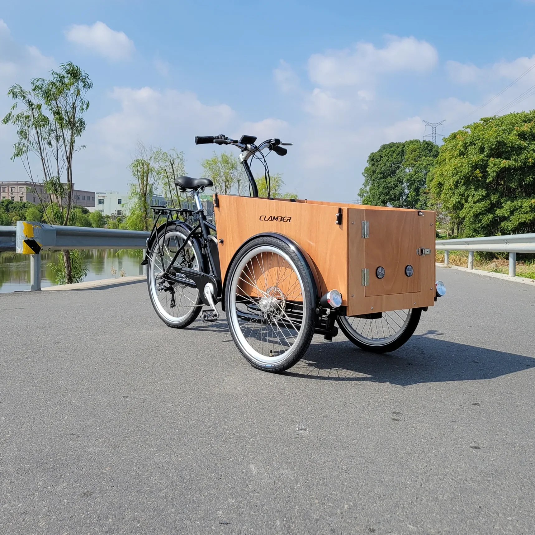 Front Open Door For Take Dog Three Wheel Bicycle Non-electric Cargo Bike 250W Motor Electric Cargo Bicycle Delivery Bike