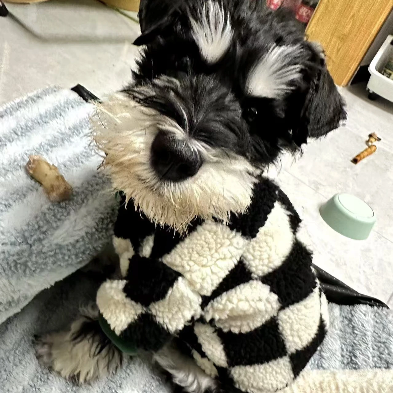 ins dog Checkerboard Coat Jacket FleeDog clothes Velvet Dog Costume for Small Dogs Winter Warm Puppy Cat Jacket Chihuahua