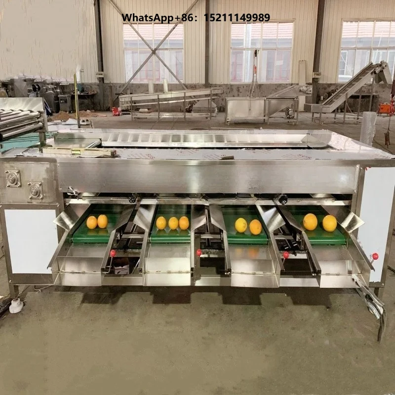 Automatic Olive Papaya Kiwi Pomegranate Fruit Guava Mango Garlic Size Sorter Roller Grader Sorting Grading Machine