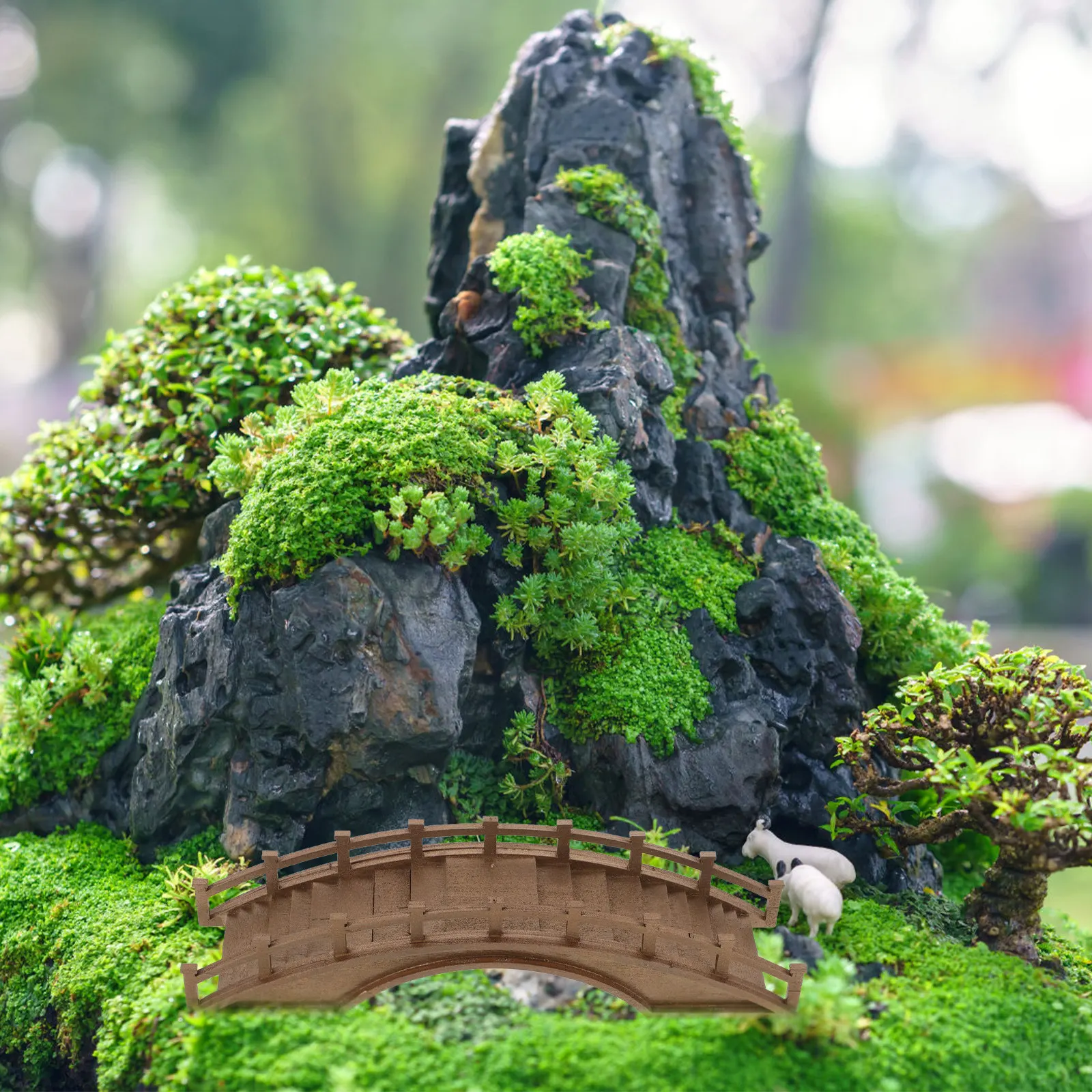 Solidny drewniany mini mostek  – Bonsai Garden Set Up recenzja i cena