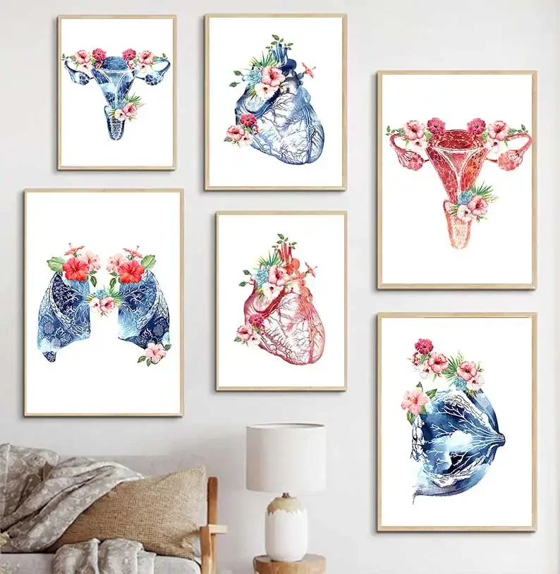 1pc frameless Flower Breast Uterus Kidney Liver Anatomy Wall Art Canvas Painting Nordic Posters And Prints Wall Pictures For Doc