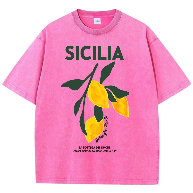 Amalfi Coast Italia Lemon Fruit Plus Size Women Washed T-Shirts Y2K Casual T Shirt Summer Soft Top Cotton Loose Short Sleeve