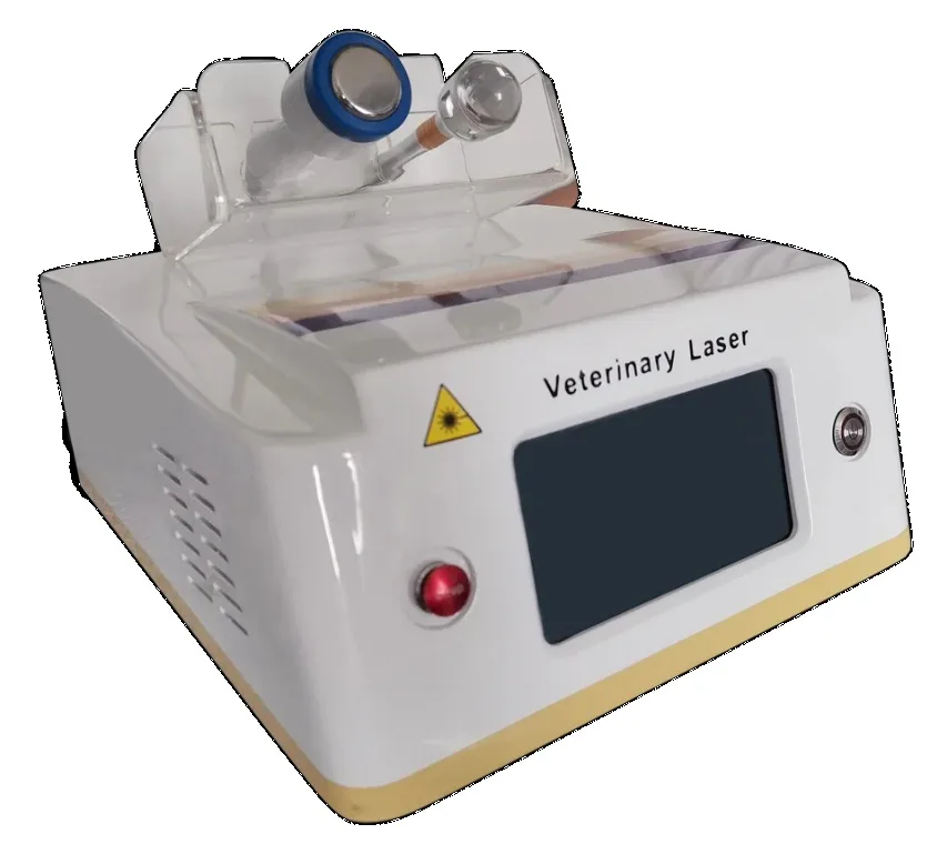 

980Nm Laser Dog Therapy Machine 980Nm Veterinary Laser Removal Beauty Machines Veterinary Use