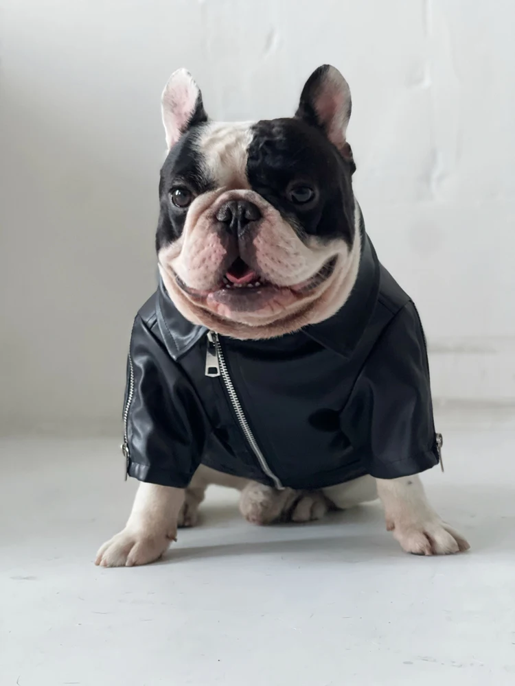 

Fashion Spice Rider Leather pet French Bulldog suit dress Jacket Trench Coat Dog Motorcycle PU clothes coat