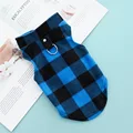 Blue Black