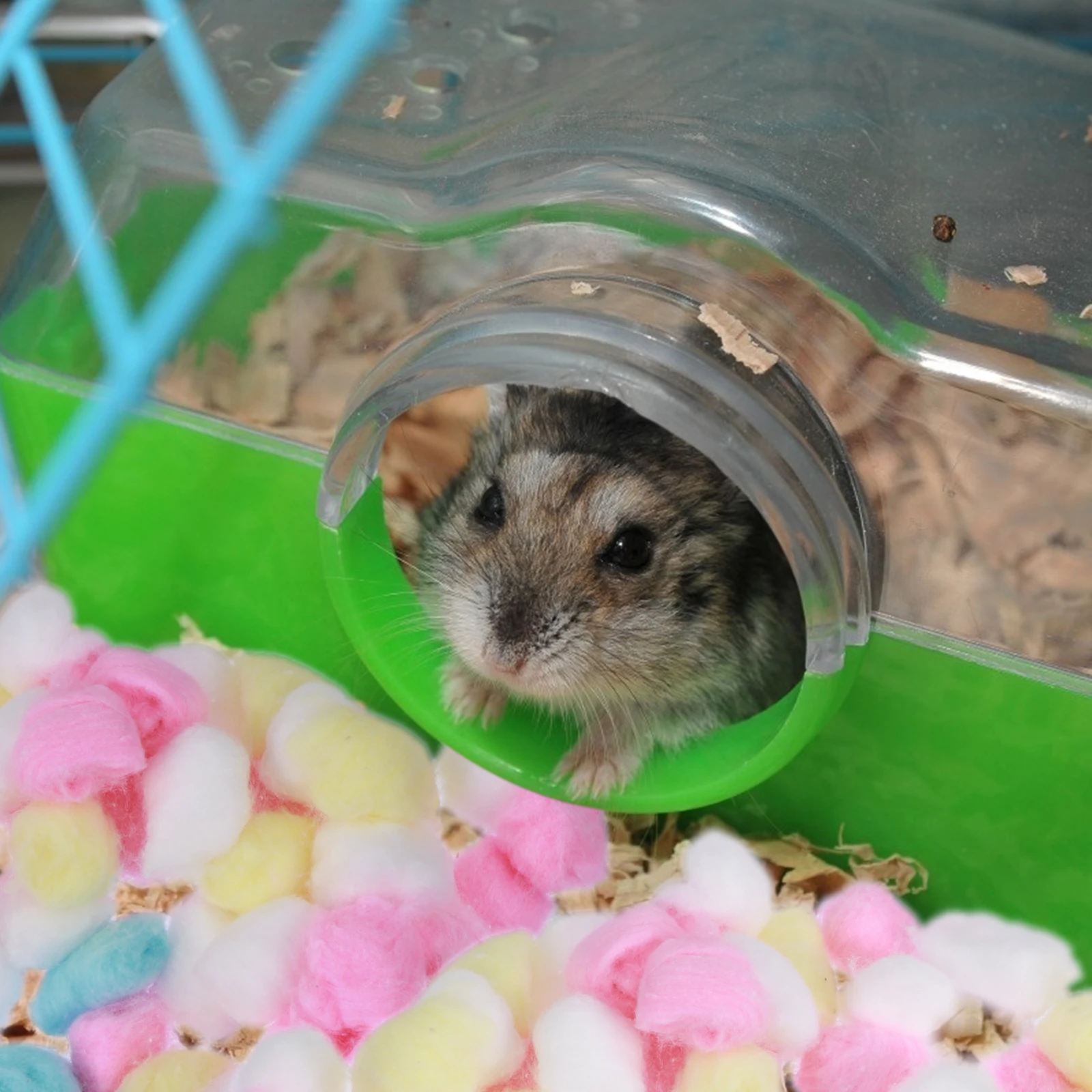 

5Packs ColoredDesiccatedCotton Winter Cotton Hamsters House Cotton Ball SoftCozyComfortableSleepingToy CageAccessory