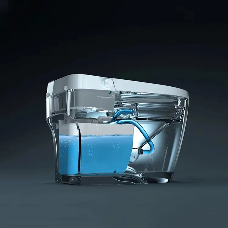 

Intelligent Toilet, Wireless Remote Control, Floor Vent Intelligent Toilet, Intelligent Toilet with Cistern, Domestic Commercial