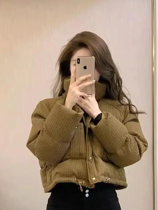 

Зимняя короткая женская куртка в корейском стиле Dongdaemun, утепленная, на хлопковой подкладке, с высоким воротником, на молнии