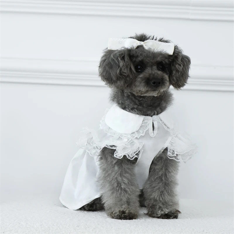 

Dog Dresses for Small Dog Girl White Lace Ruffle Flutter Sleeves Dress Dog Wedding Dress Dog Flower Girl Dress Cat Dresses