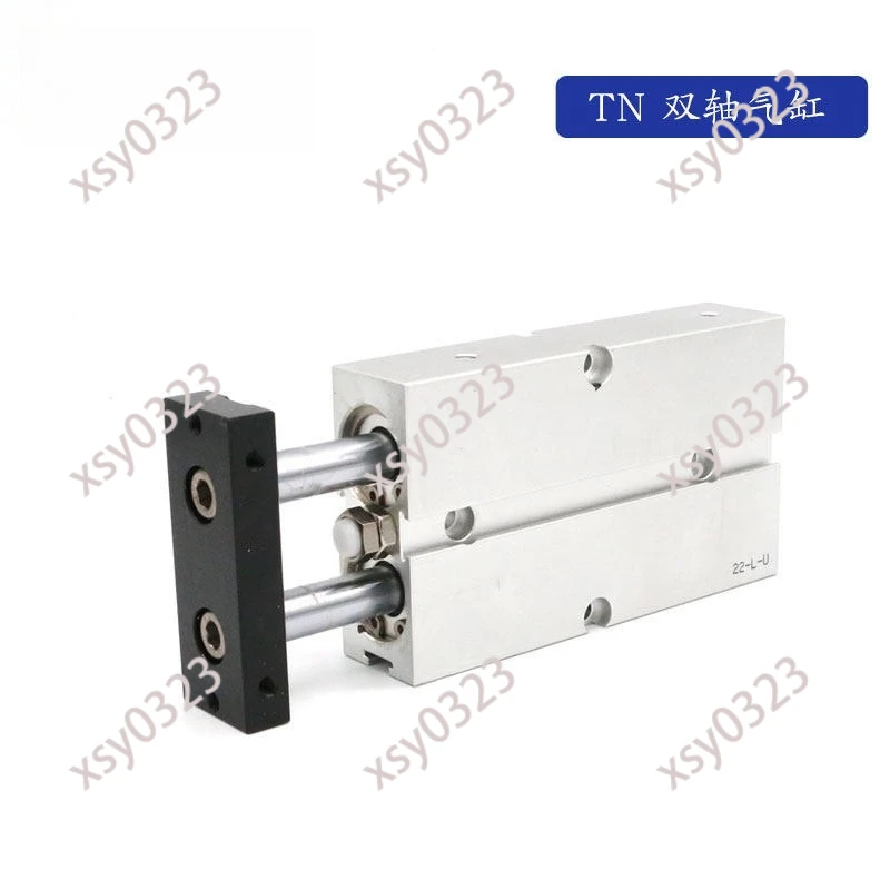 TN20 Series Dual Shaft Air Cylinder, Double Rod Pneumatic Cylinder for Automation Equipment