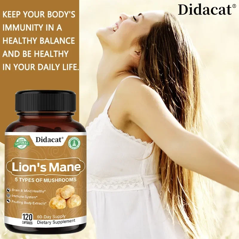 

Lion's Mane - 500mg, Boosts Immune System, Improves Memory, Protects Cranial Nerves, Promotes Brain Health, Balances Mood