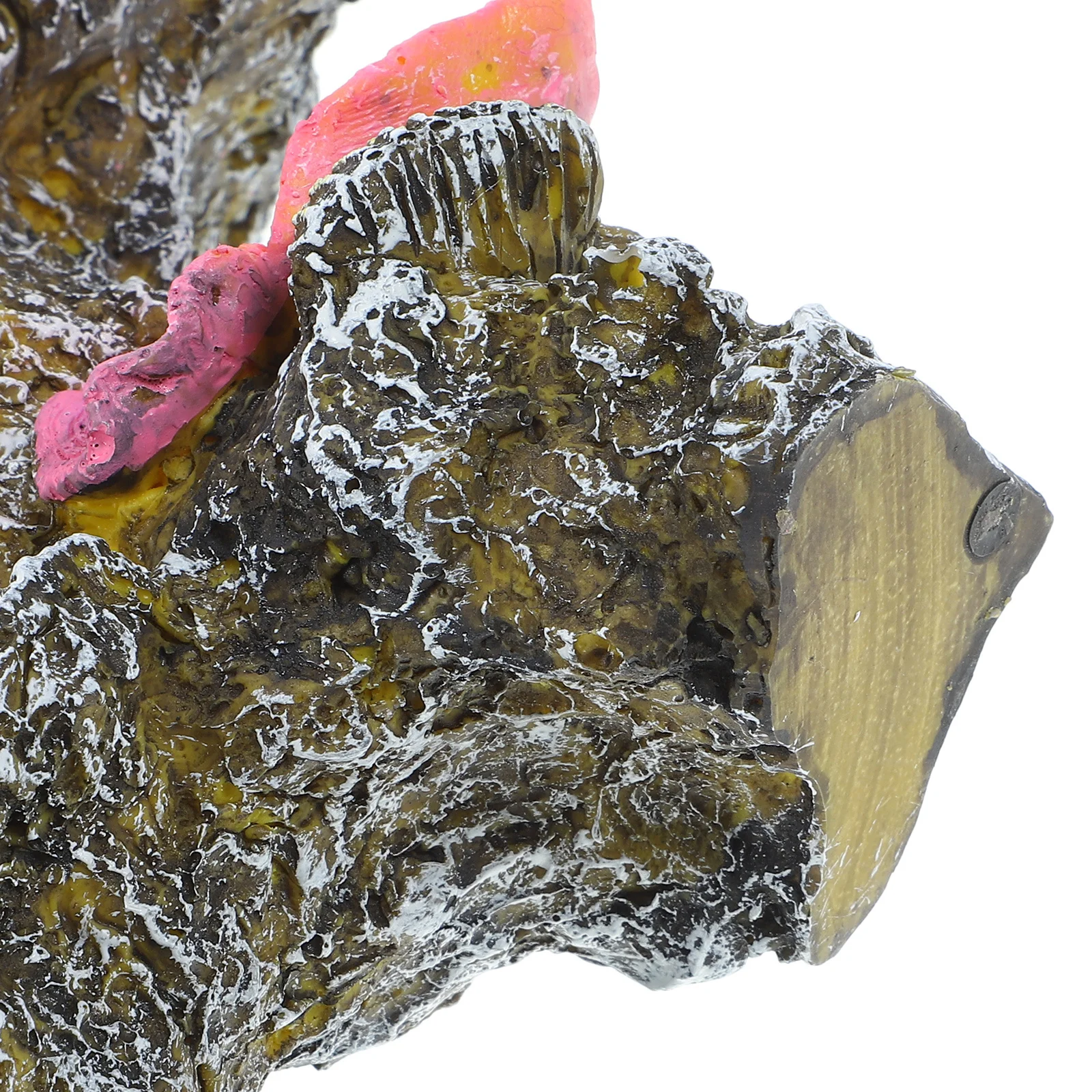 

Fish Tank Coral Reef Decor PVC Underwater Landscape Aquarium Ornaments Fade Resistant Steady Placement Coral Decor