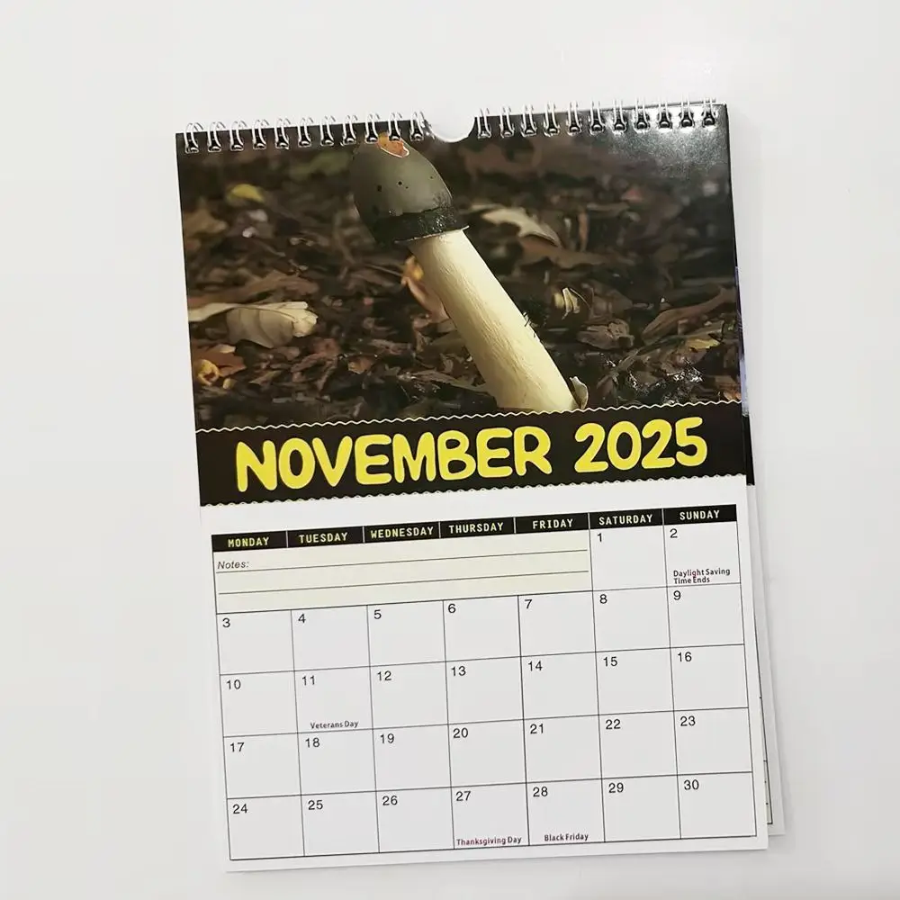 

Ежедневный еженедельный ежемесячный планировщик, календарь на 2025 год, бумажный подвесной настенный календарь, украшения для дома, самый большой календарь с грибами в мире