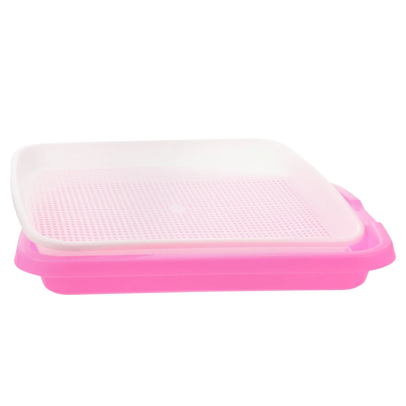 Premium Bpa Free PP Sprouter Tray for Wheatgrass Alfalfa Mung Beans Soil Free Growing Tray with Ventilated Grid Design 35x26x5cm