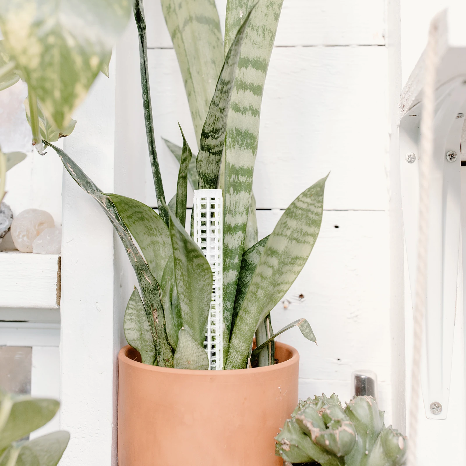 

4pcs Plant Climbing Column Premium Plastic Support For Vertical Growth Gardening Supplies Plants Supporter Garden Tool