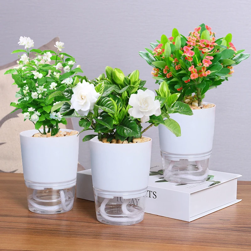 Double Layer Self Watering Plant Pots Lazy Hydroponic Water Absorbing Flower Pot Succulent Plant Flowerpot Garden Pot